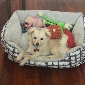 Meet your Posher, Claudia